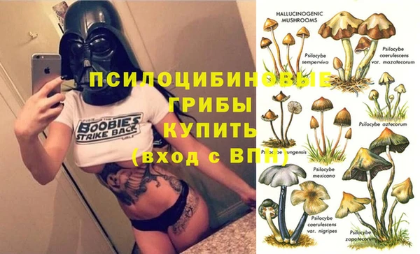 прущий лед Аркадак