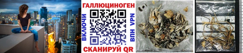 Галлюциногенные грибы мицелий  мега tor  Чернушка 